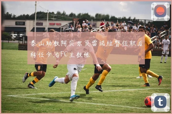 泰山助教阿贝尔莫雷诺短暂任职后转任今治FC主教练